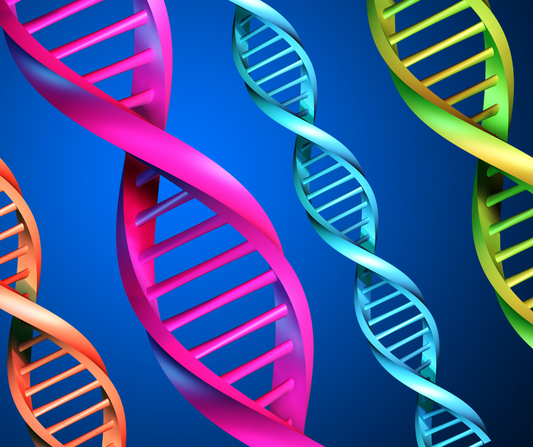 The Benefits of Fortifying Your DNA with Happy Cells™